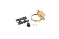 Delfield Defrost Termination Switch 2-wire 219-4046 3-wire 