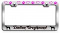 Italian Greyhound Dogs Pets Chrome Metal License Plate Frame Tag Holder F59 