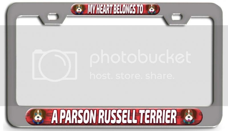 My Heart Belongs To A Parson Russell Terrier Dogs Pets 3d Metal License Plate Frame For Auto Suv Truck Universal Fit Tag Holder