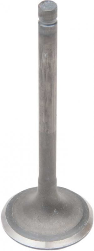 Exhaust Valve For Suzuki Quadmaster 2000 To 2001 Lt-a500f 500 Engine Part Number 972091 -261