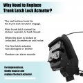 Acropix Front Left Side Door Latch Actuator With Cable Assembly Fit For Nissan Pathfinder L4 2 5l V6 3 Pack Of 1 Black