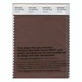Pantone Smart Swatch 19-1233 Tiramisu 