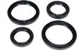 Rear Differential Seals Kit Arctic Cat Prowler Xt 550i 2012 2013 