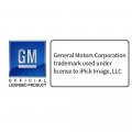 Ipick Image Matt-look Laser Etched Black Acrylic License Plate Cadillac Dual Logo