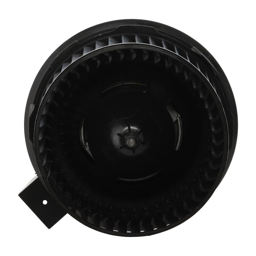 Blower Motor With Wheel Ford Police Interceptor Sedan 2013 To 2019 Replacement For Fo3126145 Cg1z19805d Dg1z19805d