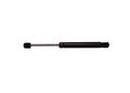 6260 Glass Lift Support For Ford Escape Black Metal Gas Strut And Shock Front Or Rear Position 