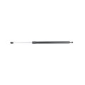 Lexus Rx350 Rx450h 2010 2015 Lift Support Driver Or Passenger Side Hatch 15 75 In Compressed Length 689500e160 689600e160 