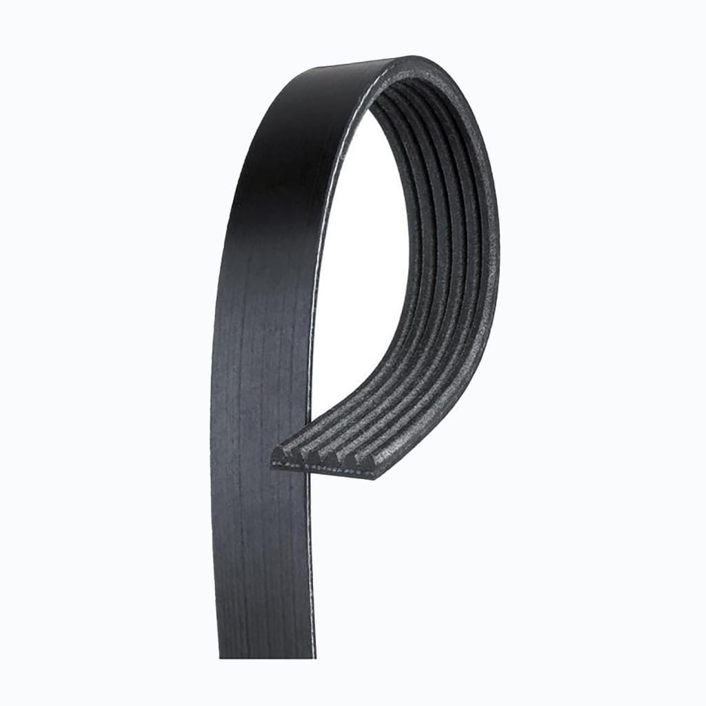 V Ribbed Serpentine Belt For Chevy Corvette 1999 2000 2001 Accessory Drive Alternator Water Pump Power Steering 79 76 In Length