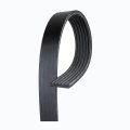 V Ribbed Serpentine Belt For Chevy Corvette 1999 2000 2001 Accessory Drive Alternator Water Pump Power Steering 79 76 In Length 