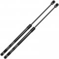 A-premium Rear Liftgate Lift Supports Shock Struts Compatible With Select Hyundai Models Santa Fe 2001 2002 2003 2004 2005 2006