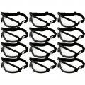 Birdz 12 Wing Sky Diving Parasailing Motorcycle Goggles Clear Lens 