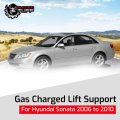 Rugged Tuff Rt870004 Front Hood Strut Lift Support Gas Spring Arm Compatible With 2006-2010 Hyundai Sonata Pack Of 1