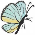 Stickertalk Green And Yellow Watercolor Butterfly Sticker 5 Inches By 