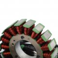 Topteng Motorcycle Stator 6 Wires Magneto Coil Generator Engine Fits For Polaris Hawkeye 300 2x4 2006-2011 4x4 Intl 2006-2007