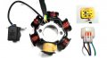Dirtbike Stator Magneto Coil Pack Fits Many Thumpstar 125cc Tsx 125-c