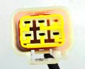 Dirtbike Stator Magneto Coil Pack Fits Many Thumpstar 125cc Tsx 125-c