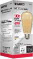 Satco S9579 Medium Bulb In Light Finish 5 38 Inches 650lm Meduim Base Specialty St19-shape