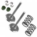 Caltric 2x Intake Valve Kit Compatible With Kawasaki Mule 3010 Kaf620 4x4 2007-2008 12004-2104