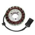 Electrosport Esg798 Stator Victory Models 