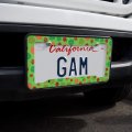 Lots Of Ladybugs And Leaves Pattern License Plate Tag Frame