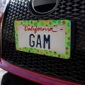 Lots Of Ladybugs And Leaves Pattern License Plate Tag Frame