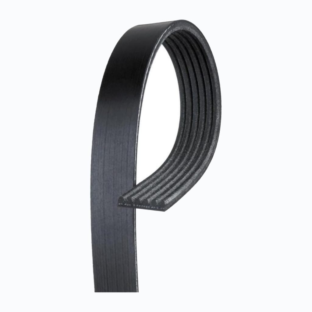 V Ribbed Serpentine Belt For Lexus Sc300 1999 2000 6 Rib 0 81 In Top Width 75 87 Effective Length 88932742