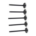 5km-12111-00-00 New Engine Intake And Out Valves 