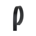 Standard V Ribbed Serpentine Belt For Audi S7 S6 2018 Black 996mm Outside Circumference 5 Ribs 0 667 In Top Width 981mm 