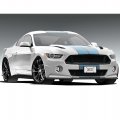 Ipick Image Made For Ford Mustang 5 0 White Carbon Fiber Look Graphic Special Aluminum Metal License Plate