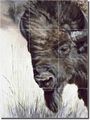 Icon By Debbie Hughbanks Buffalo Animal Ceramic Tile Mural 17 X 12 75 Kitchen Shower Backsplash 