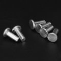Solid Aluminum Rivet Flat Head 100pcs Gb867 M4s Rivet M4 12 10