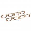 Secosautoparts 079133074b 2pcs Intake Manifold Gasket Reinz Compatible With Audi A6 A8 2007 2008 2009 Volkswagen 2007-2009