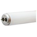 G E Lighting 68959 Westpointe T12 Fluorescent Tube 34w Cool White 