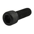 80 20 Inc 3119 15 Series 5 16-18 X 875 Socket Head Cap Screw Shcs 25 Pack 