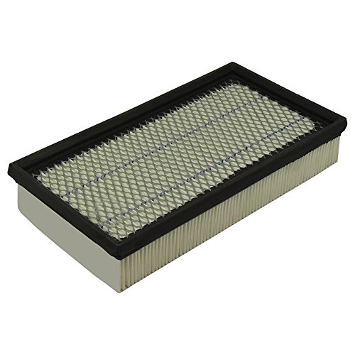 Ecogard Xa5324 Premium Engine Air Filter Fits Ford Focus