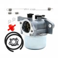 Hoypeyfiy Carburetor Air Filter Fuel Line Kit Replacement For Briggs And Stratton 799866 790845 799871 796707 794304 Quantum