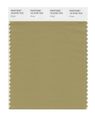 Pantone Smart 16-0726x Color Swatch Card Khaki 
