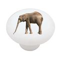 Grazing Elephant Decorative High Gloss Ceramic Drawer Knob 