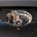 Labyrinth Goblin King On Throne With Baby David Bowie Jareth Toby Oval Tow Trailer Hitch Cover Plug Insert