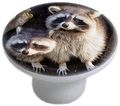 Carolina Hardware And Decor 2275 Raccoons In Tree Ceramic Cabinet Drawer Knob 