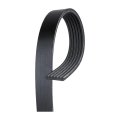 V Ribbed Serpentine Belt For Mercury Grand Marquis 1990 1991 6 Rib 1534 Millimeters Circumference 0 807 In Top Width 