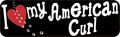 10in X 3in I Love My American Curl Magnet Magnetic Cat Truck Magnets By Stickertalk 