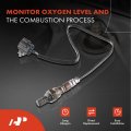 A-premium O2 Oxygen Sensor Compatible With Ford Escort Kia Sephia 1995-1997 Mazda Miata Protege 1999-2000 Upstream