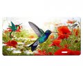 Hummingbirds License Plate 