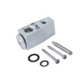 Air Conditioning Expansion Valve For Chevy Equinox 2019 2020 2021 Gray Aluminum Block Female Liquid Outlet And Suction Inlet 2
