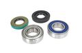 Chain Case Bearing Seal Kit Jack Shaft Ski Doo Mx-z 440f 2001 