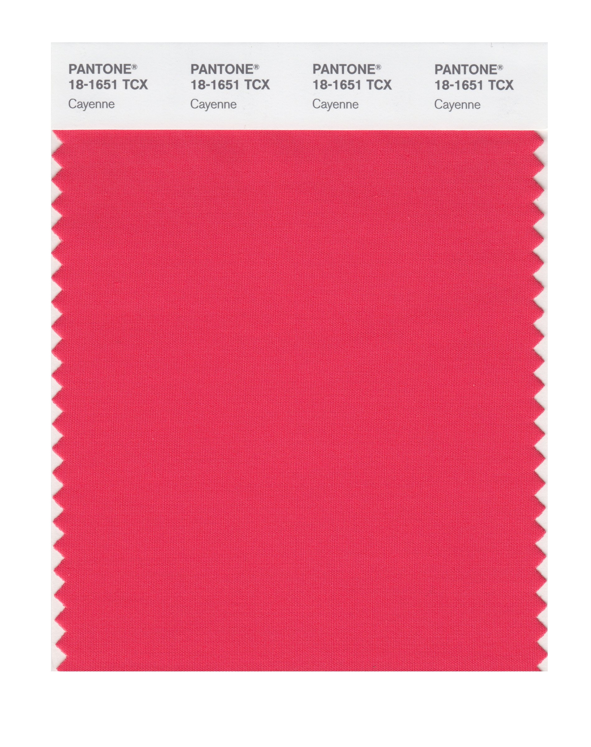 Pantone Smart 18-1651x Color Swatch Card Cayenne