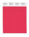 Pantone Smart 18-1651x Color Swatch Card Cayenne 