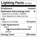 Satco 250-watt Br40 Incandescent Clear Heat Lamp Light Bulb 12 Pack