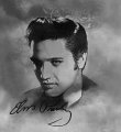 Elvis Presley Carpet Car Suv Truck Floor Mats 4 Pieces Custom Print Design Gray